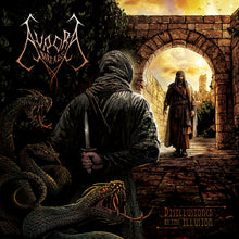 Load image into Gallery viewer, Aurora Borealis - Disillusioned By The Illusion (vinyl)