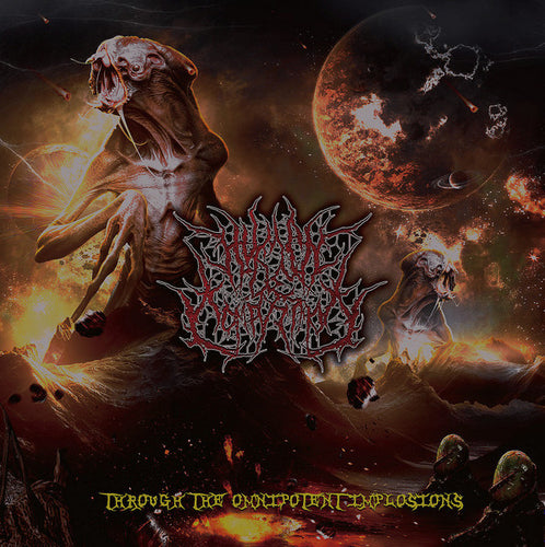 Human Decomposition – Through The Omnipotent Implosions (CD)