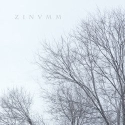 Zinumm ‎– Zinumm (limited hand numbered)