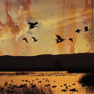 Stellar Descent ‎– ...fading... (slipcase)