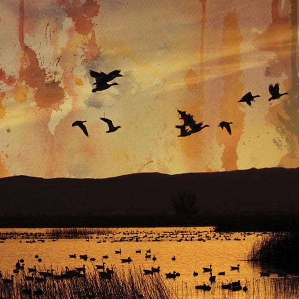Stellar Descent ‎– ...fading... (slipcase)