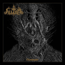 Load image into Gallery viewer, Automb ‎– Chaosophy ( red vinyl )
