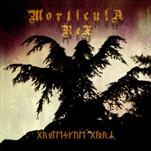 Morticula Rex ‎– Grotesque Glory